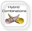 Hybrid Combinations