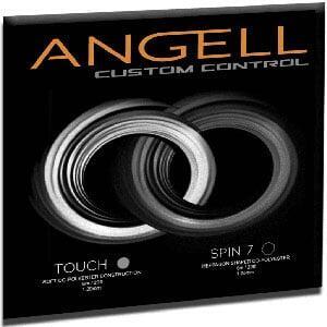 Angell Custom Control